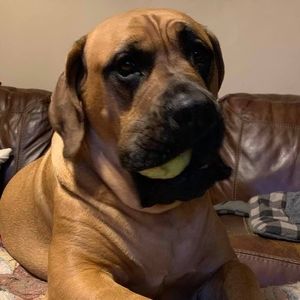 Meet your Posher, Lori